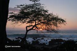 Sunset on the Big Island, Hawaii. by Patrick Reardon 